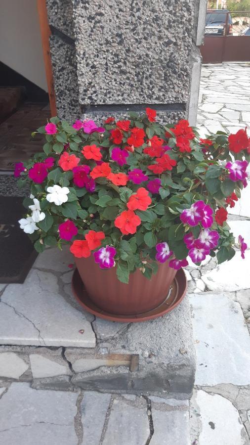 Guest House Pip Velingrad Exterior photo