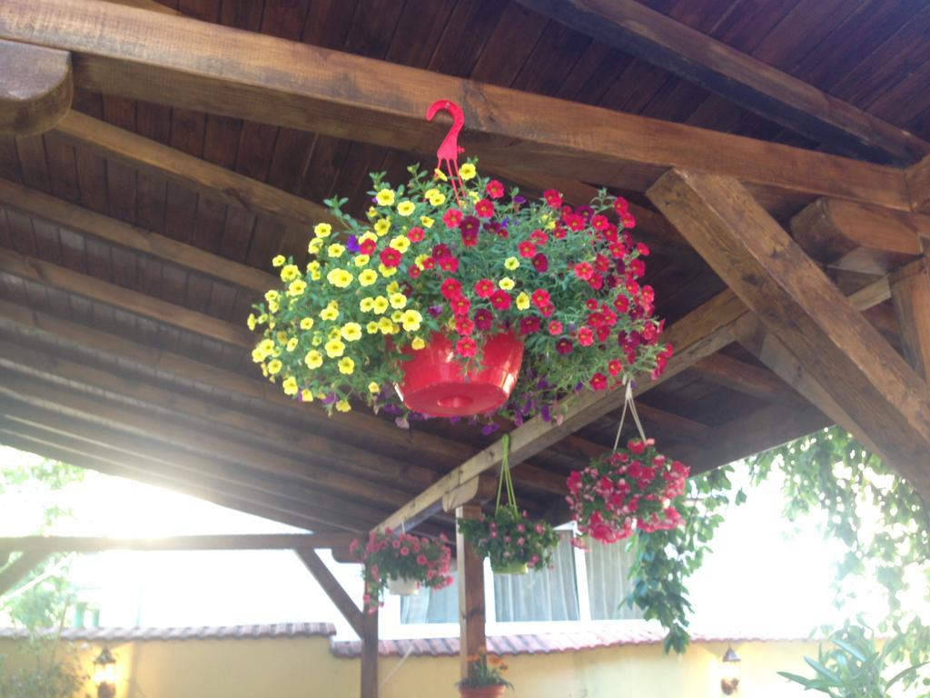 Guest House Pip Velingrad Exterior photo